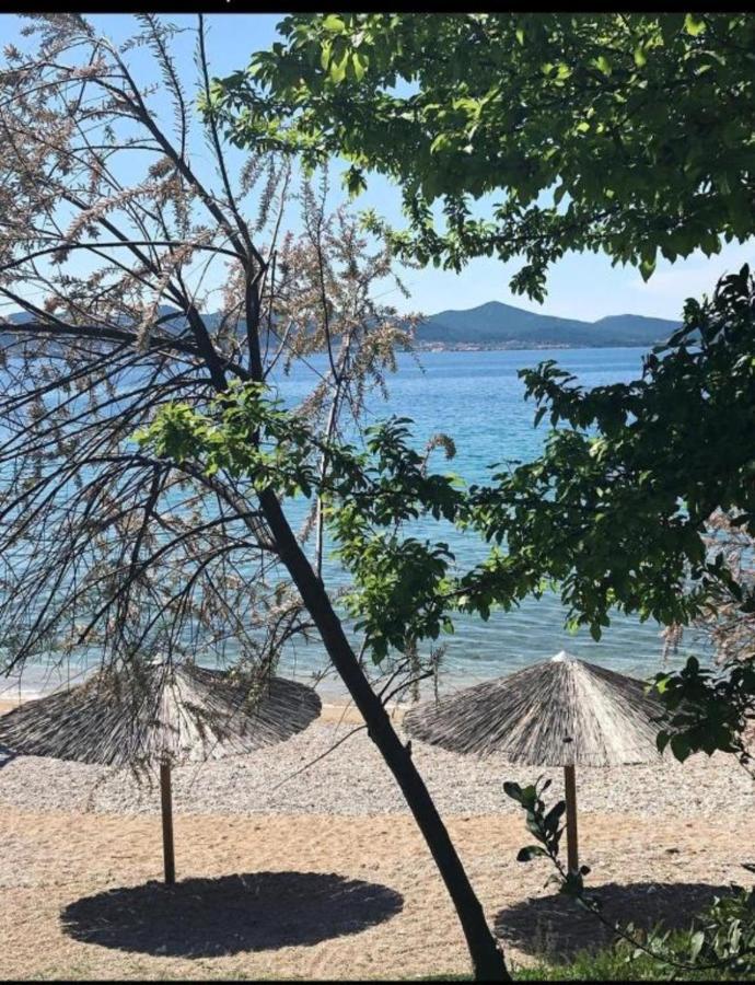 Luxury Majpruz Suites I Zara Esterno foto